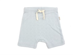 Petit Piao pearl blue shorts pointelle